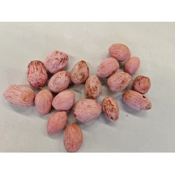 AMRA PODS ROOS +/-100GR