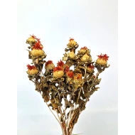 CARTHAMUS ORANJE NATUREL