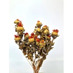 CARTHAMUS ORANGE NATURAL