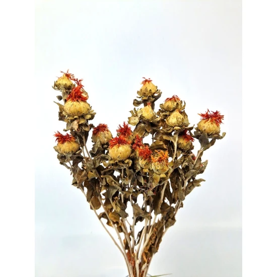 CARTHAMUS ORANGE NATUREL