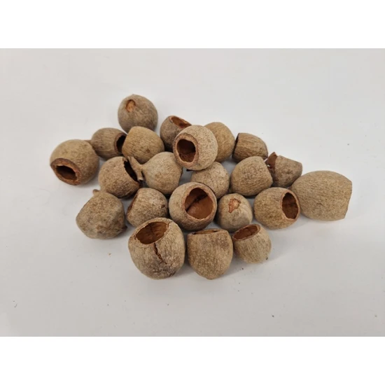 GOURI CUP NATURAL +/-1KG