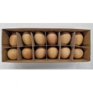 KIPPENEIEREN BRUIN 12ST