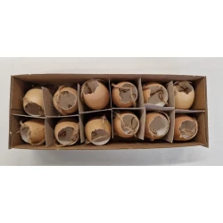 KIPPENEIEREN BRUIN OPEN MET TOUW 12ST