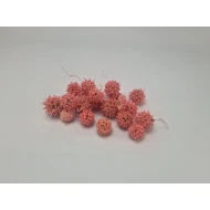 LIQUIDAMBAR (AMBERBAUM) ROOS +/-150GR