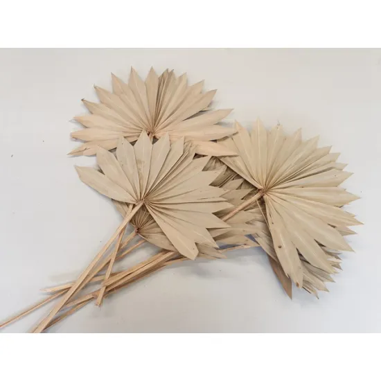 PALM SUN NATURAL 5PCS BOPP/kraft