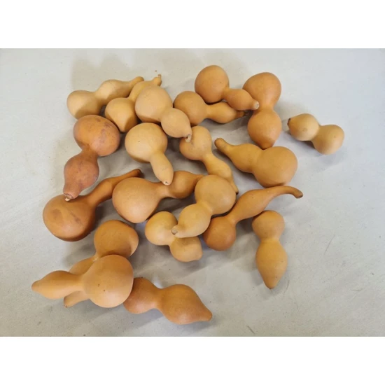 CITROUILLE MINI NATUREL 20ST