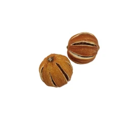 ORANGES ENTAILLE ORANGE +/-45GR