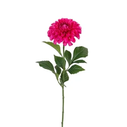 DAHLIA 60CM CERISE