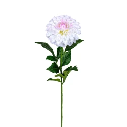 DAHLIA 60CM WIT/ROZE