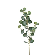 EUCALYPTUS 95CM GROEN
