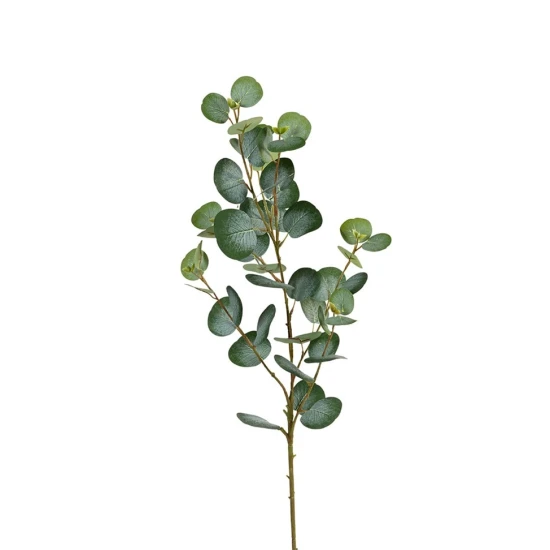 EUCALYPTUS 95CM GROEN