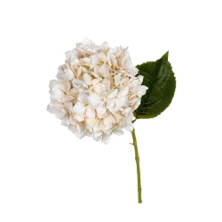 HORTENSIA 55CM CREME