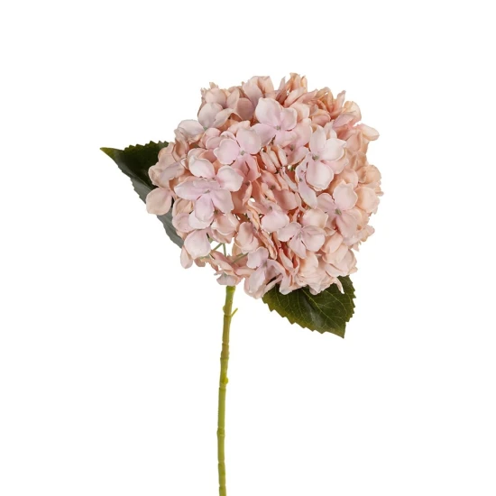 HORTENSIA 55CM SAUMON
