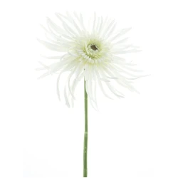 MUM SPRAY CREAM 61CM   