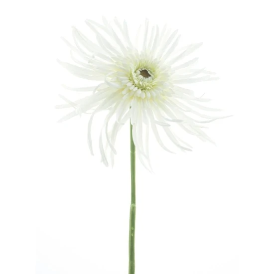 MUM SPRAY CREAM 61CM