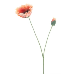 POPPY SPRAY OLA ORANJE 75CM     