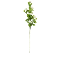 SPIREA 70CM WIT