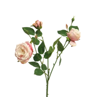 ITALIAN ROSE X3 PINK 61CM