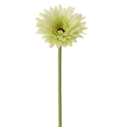GERBERA 58CM GROEN