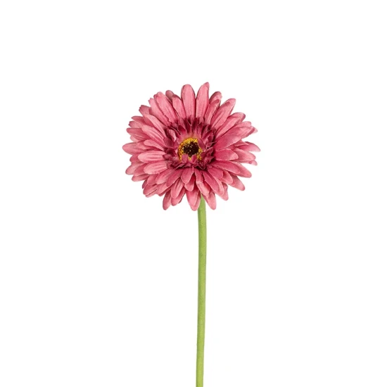 GERBERA 58CM VIEUX ROSE