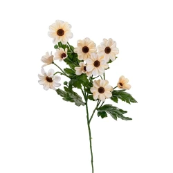 MARGRIETJE 75CM CREME