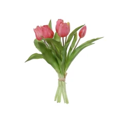 TULP BUNDEL 30CM DONKERROZE