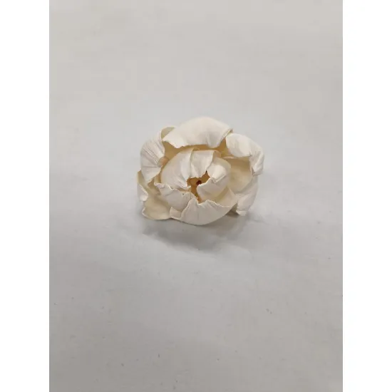 SHOLA PEONY 6CM NATURAL 20PCS