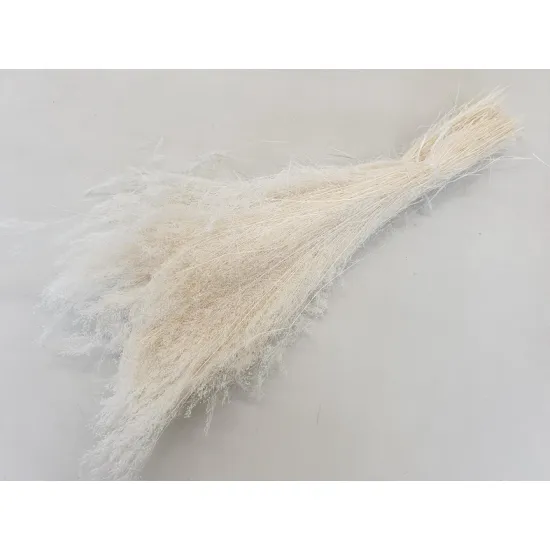 AGROSTIS NEBULOSA CLOUD GRASS GEBLEEKT +/-50GR