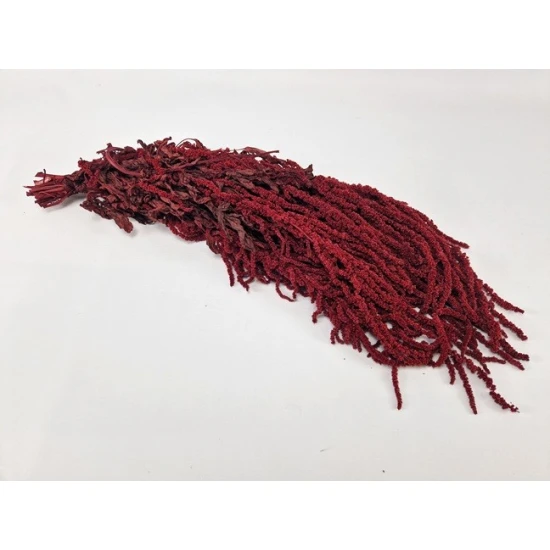 AMARANTHUS CAUDATUS GECONSERVEERD BORDEAUX BOPP/kraft hobbyverpakking