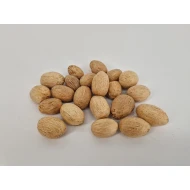 AMRA PODS BLEACHED +/-100GR