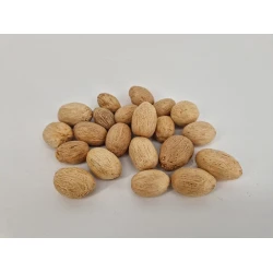 AMRA PODS GEBLEEKT +/-500GR