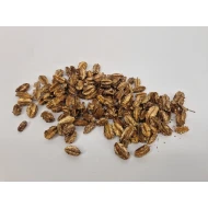 ARJUN FRUIT KLEIN GOUD +/-50GR