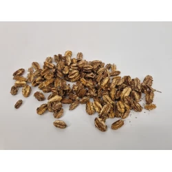 ARJUN FRUIT KLEIN GOUD +/-50GR