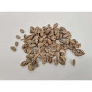 ARJUN FRUIT KLEIN WHITE WASH +/-50GR