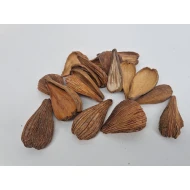 ARTI PODS NATUREL +/-250GR