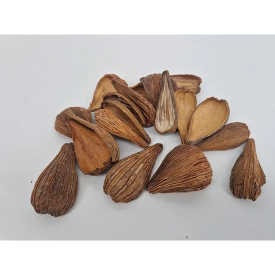 ARTI PODS NATURAL +/-250GR