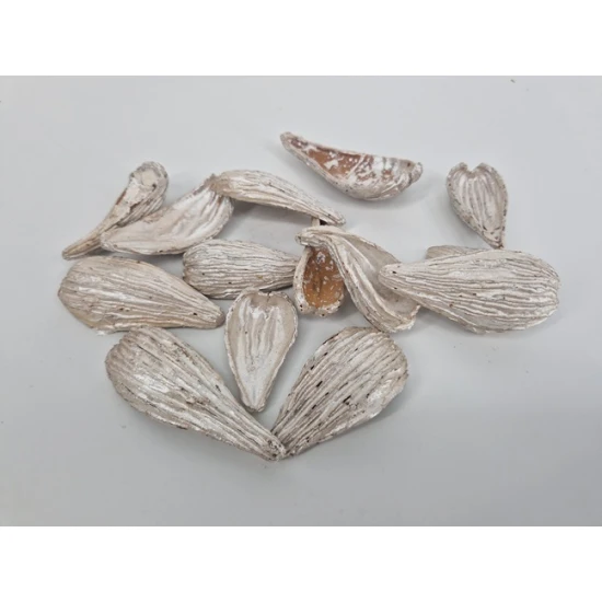 ARTI PODS PEARL WHITE