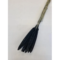 BABALA ZWART 55CM 10ST