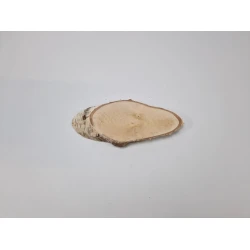 BERKENSCHIJF LANG +/-22X10CM +/-2.5CM NATUREL