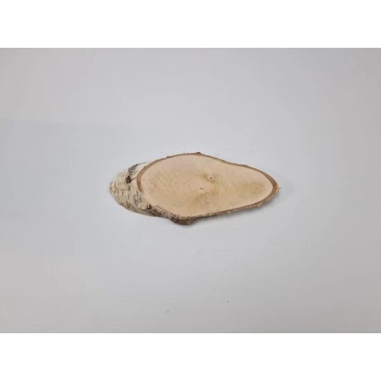 BIRCH SLICE LONG +/-22X10CM +/-2.5CM NATURAL