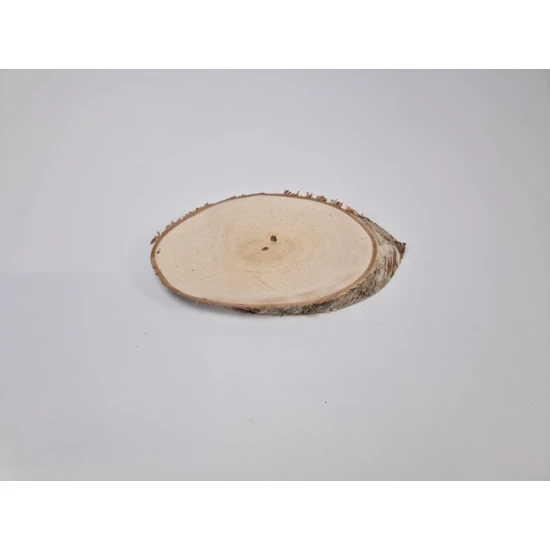TRANCHE DE BOULEAU LONGUE +/-30-34X14-16CM +/-2.5CM NATUREL