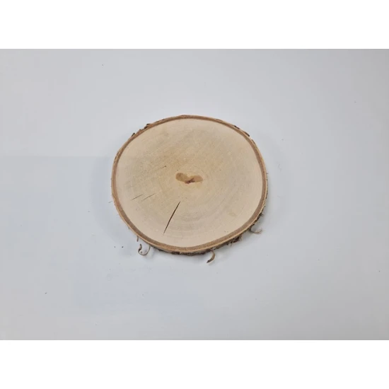 TRANCHE DE BOULEAU +/-20CM +/-2.5CM NATUREL