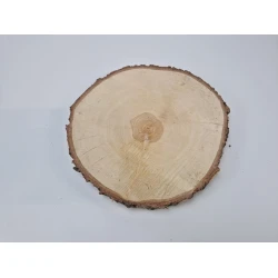 BERKENSCHIJF +/-40CM +/-4CM NATUREL