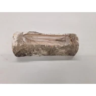 BERKENSTAM HALF OPEN 26X10X8CM