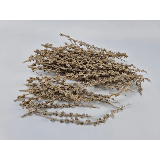 BERRY TWIGS WHITE WASH +/-200GR