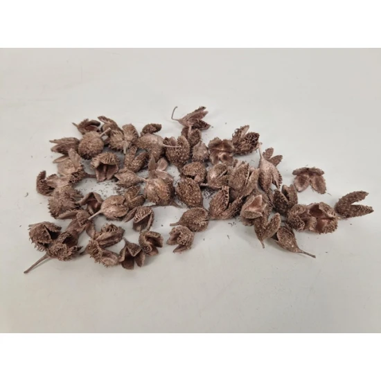 COSSES D'HETRE ROSEGOLD +/-50GR