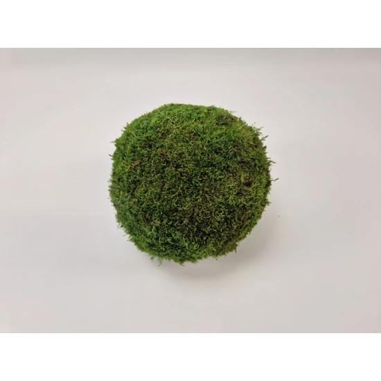 BOULE MOUSSE VERT SATBILISEE 20CM