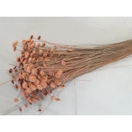 BOTAO BRANCO MELOEN +/-50GR BOPP/kraft hobbyverpakking