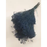 BROOM BLOOM BLAUW +/-100GR