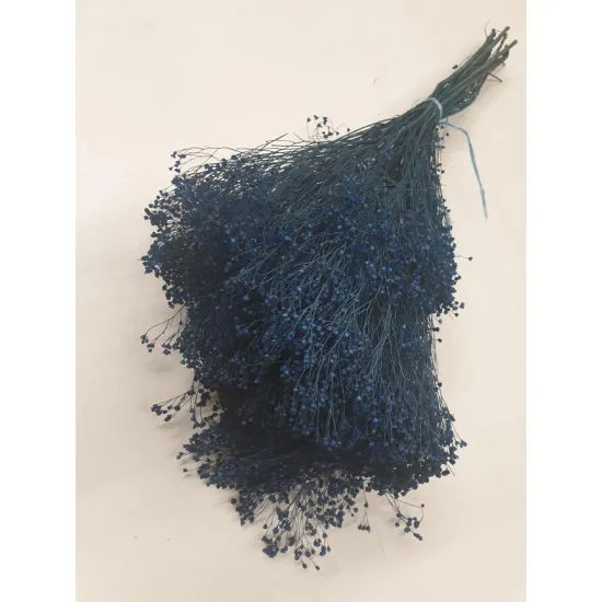 BROOM BLOOM BLAUW +/-100GR BOPP/kraft